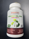 Viherbs ginkgo biloba memoire 90capsules